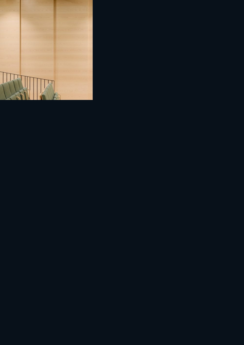 Micro-Perforated Acoustic Wood Panel 2